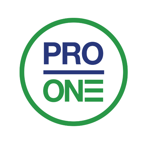 Professional One